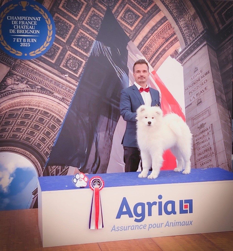 Publication : of Snow Yanola Auteur : Of Snow yanola