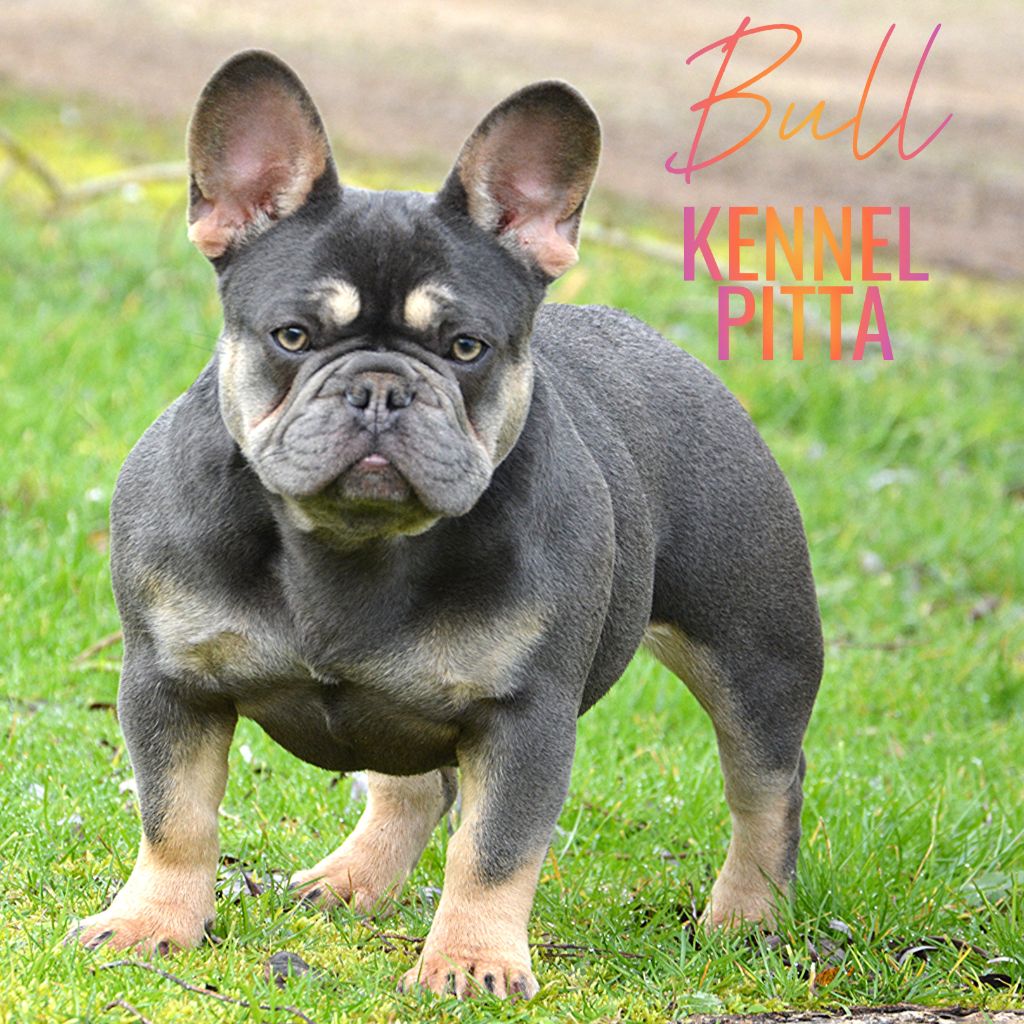 Publication : du domaine des egeasseaux Auteur : Domaine des Égeasseaux