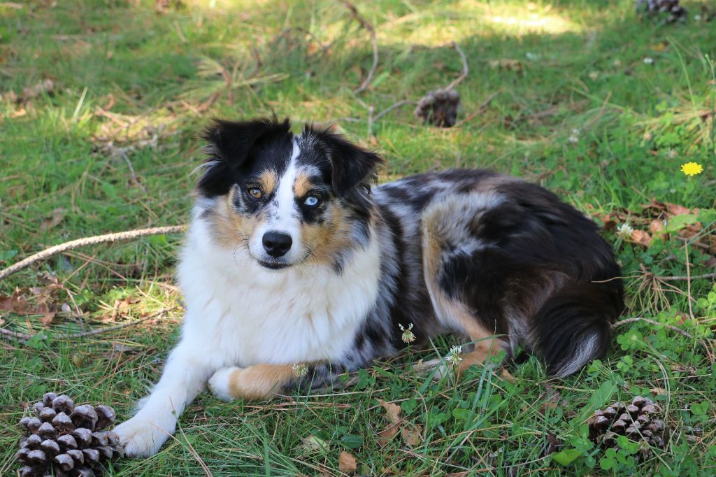 Publication : Du Domaine De Solanzac 