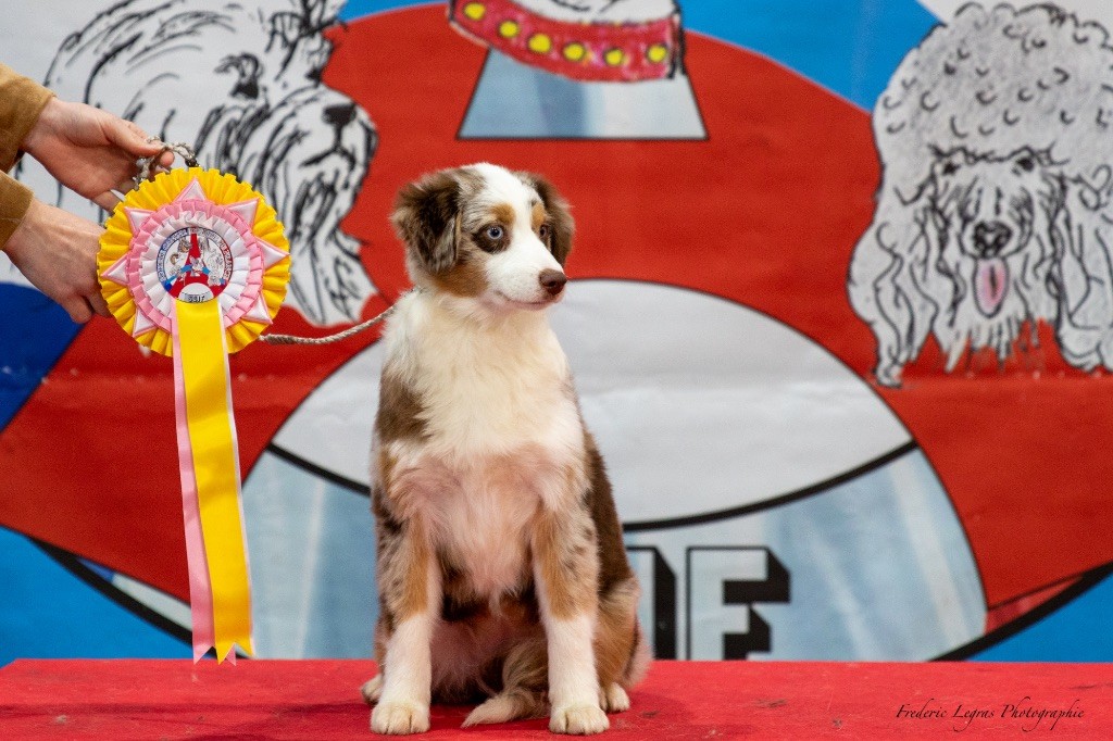 Publication : Blue Pearl Legacy's Auteur : FREDERIC LEGRAS PHOTOGRAPHIE