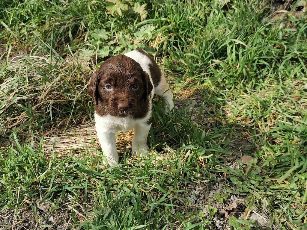 Publication : De La Ferme Des Forestiers 