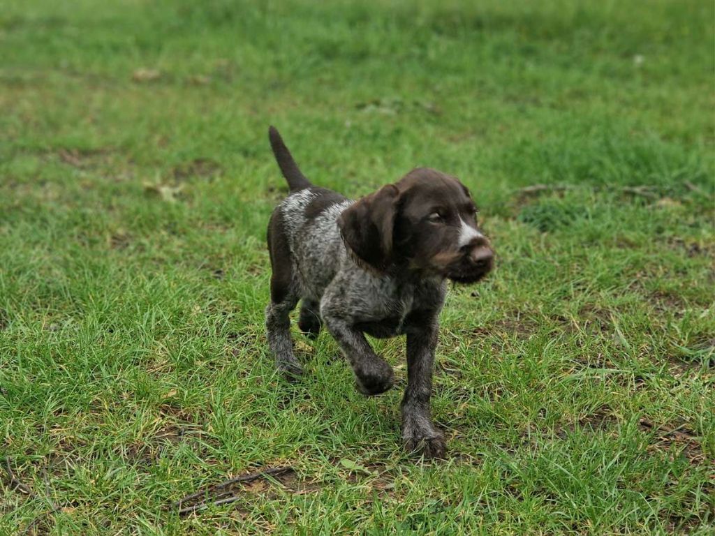 Publication : Du Val D'Heuilley 