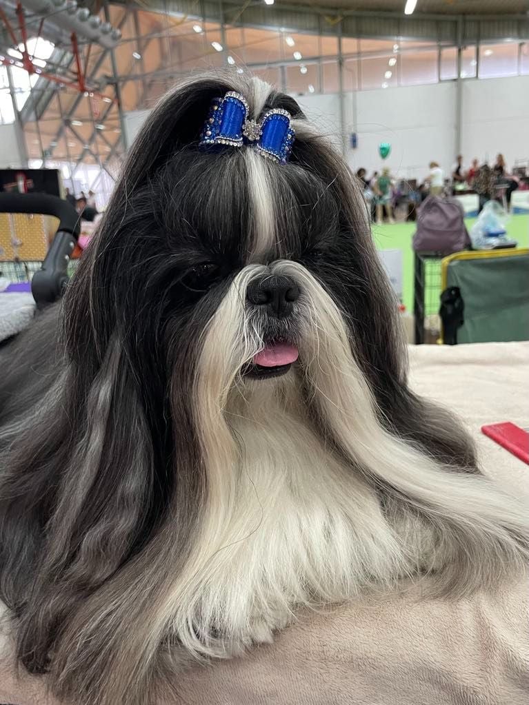 Publication : Claudine Cordier