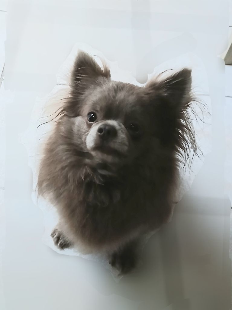 Publication : du fleuve d'or 