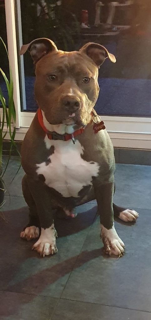 Publication : Nicolats BRETIN 