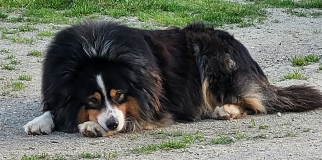 Publication : Du Nirvana De L’Ecrin De Kali 