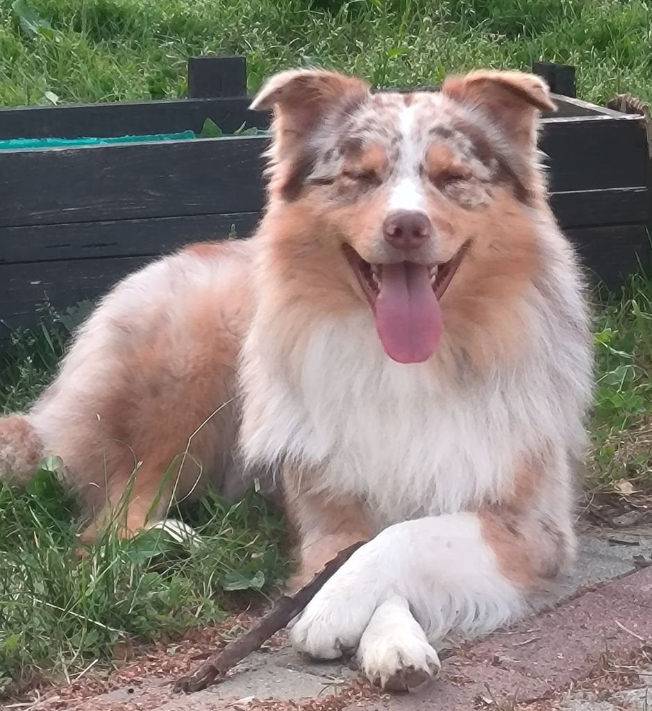 Publication : (Sans Affixe)