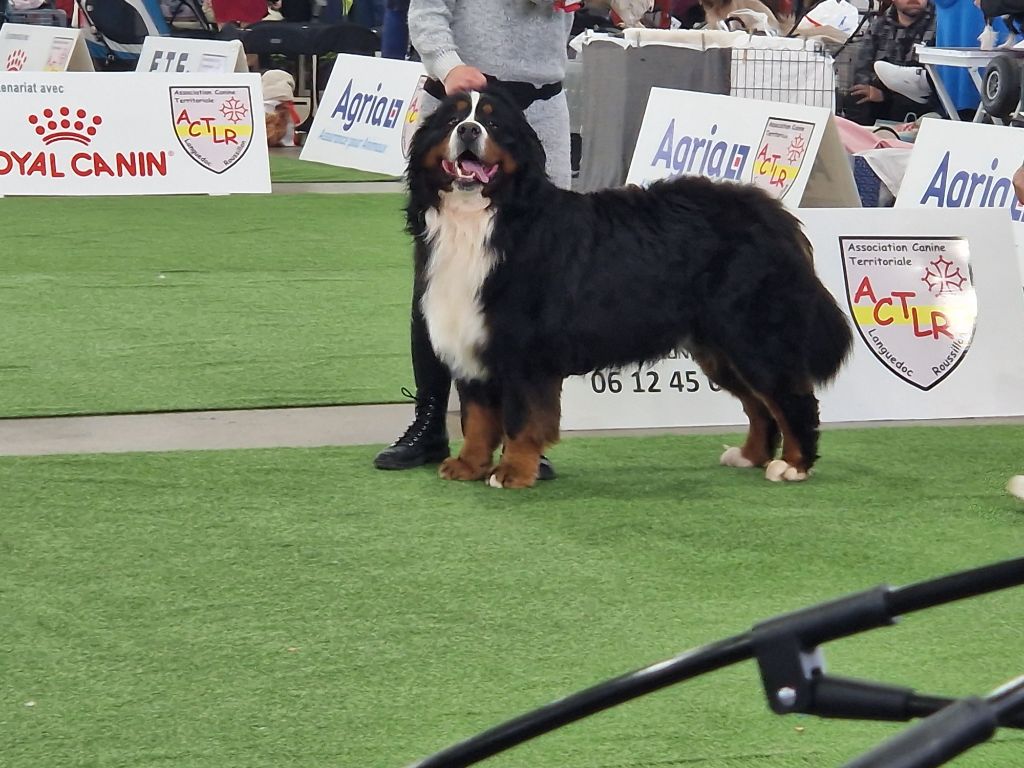 Publication : De La Coustille Ouest 