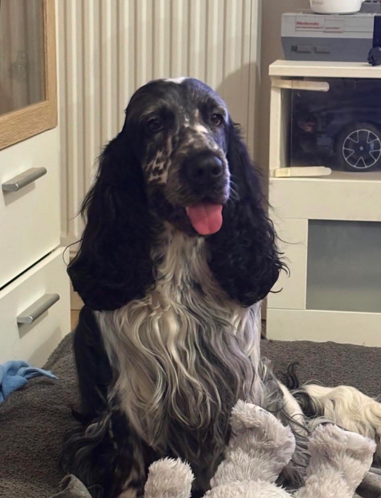 Publication : Christophe Delpech 