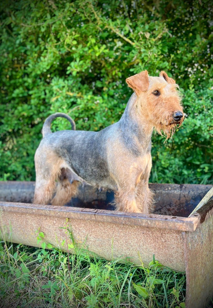 Publication : Du Soleil Vert Auteur : Soleil Vert