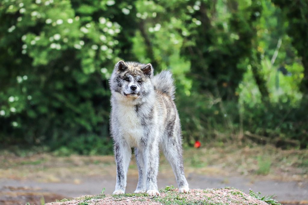 Publication : Le Domaine D'Ulysse