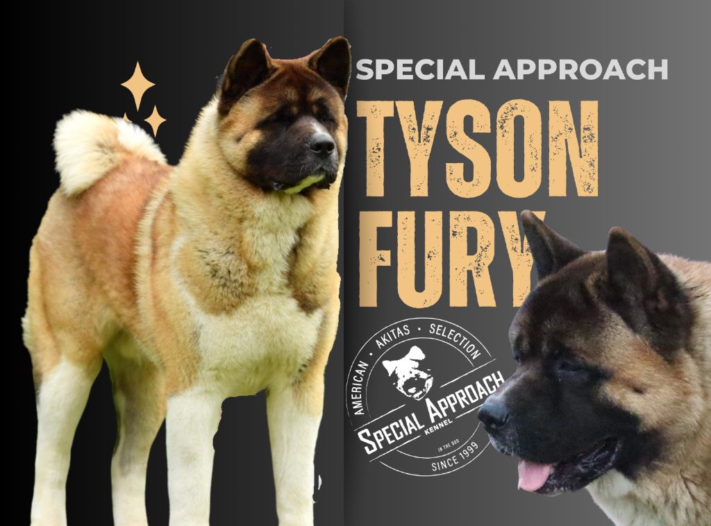 Publication : Special Approach