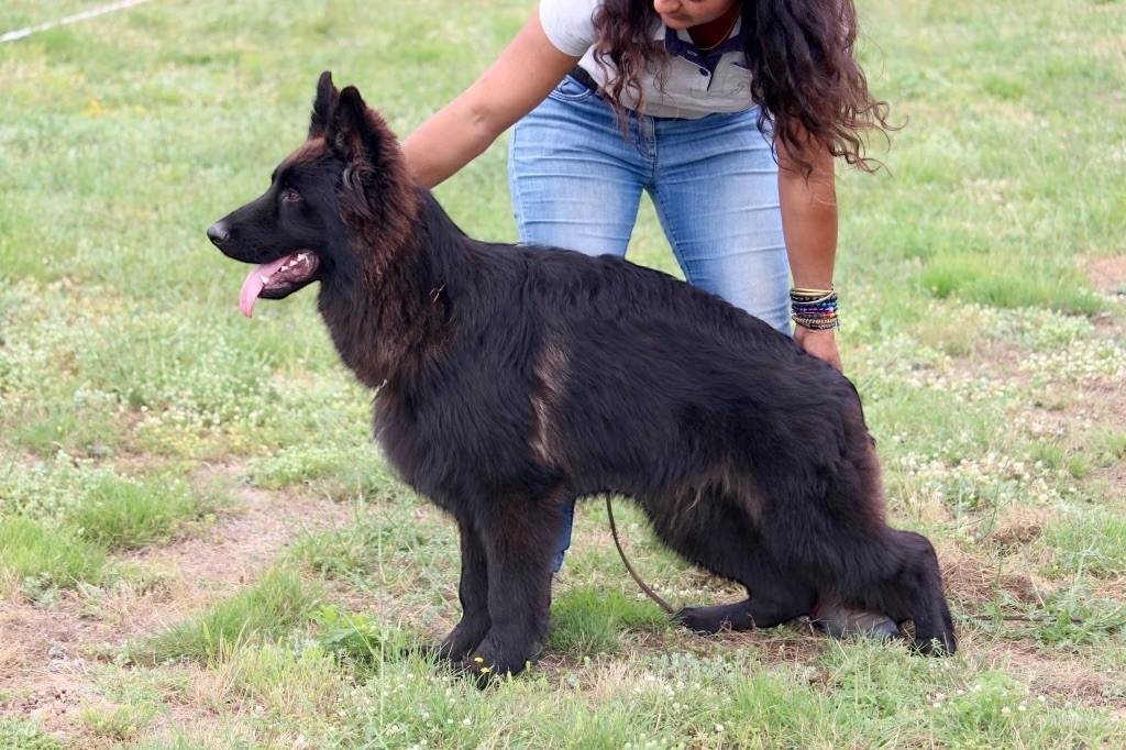 Publication : Du Domaine De Brenda 