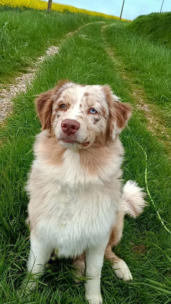 Publication : Du Rubis Mystérieux Auteur : sophie lÃ©ger