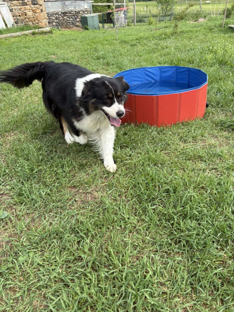 Publication : (Sans Affixe) 