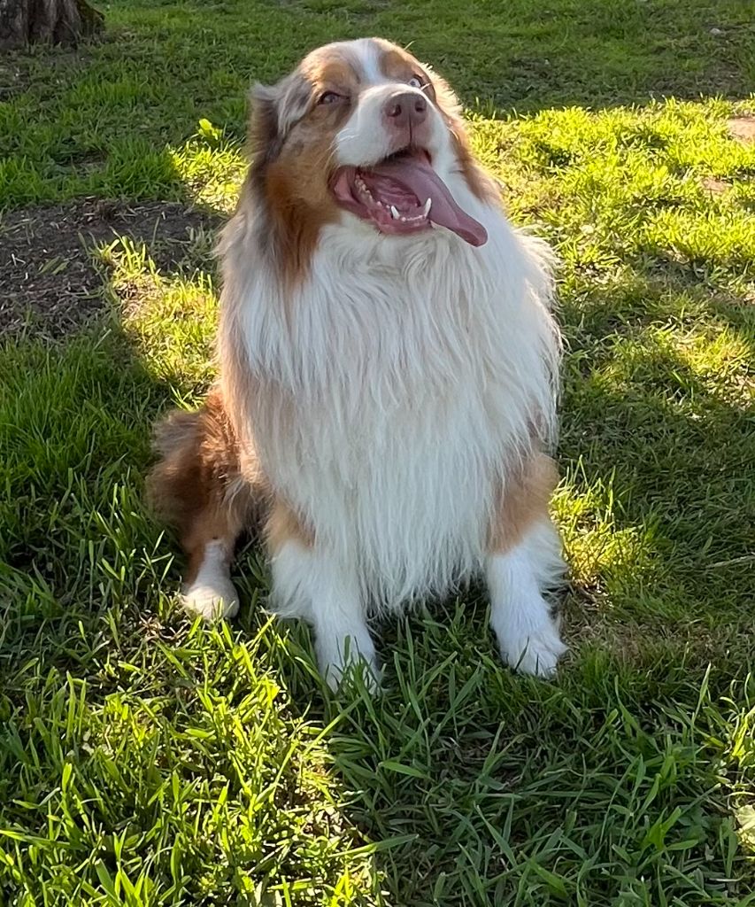 Publication : (Sans Affixe) 