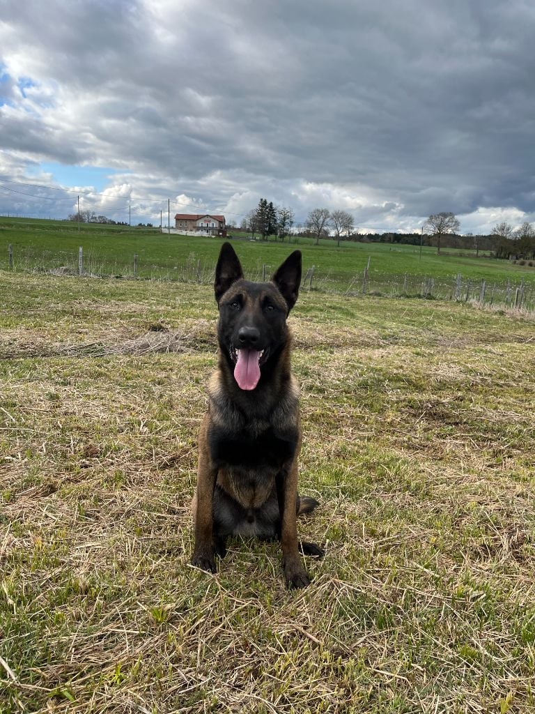 Publication : (Sans Affixe) 