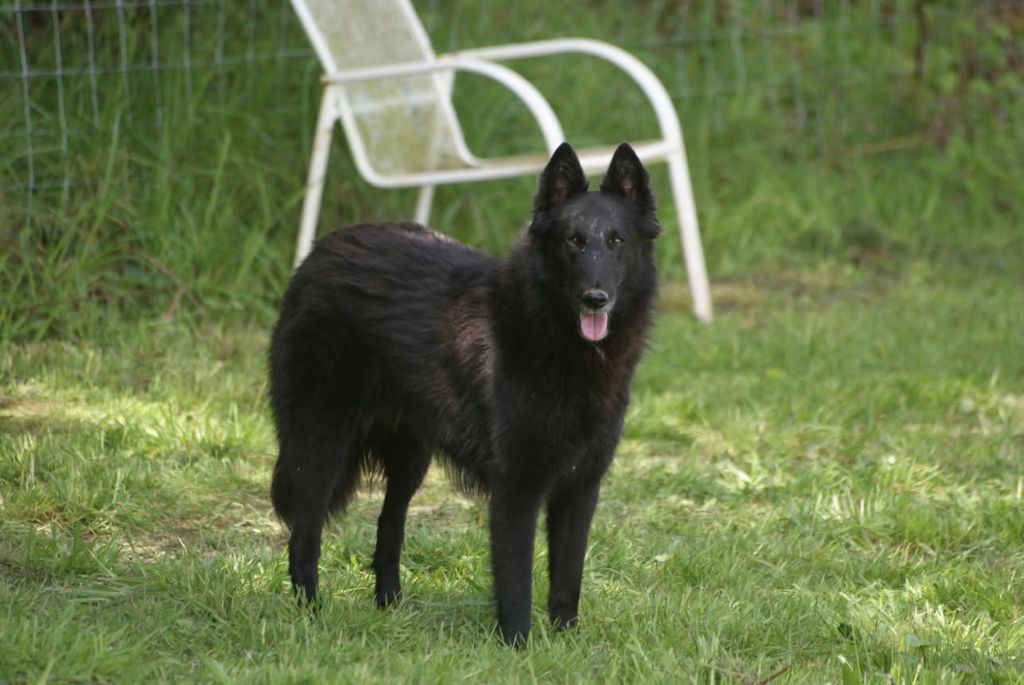 Publication : du Domaine de Vauroux 