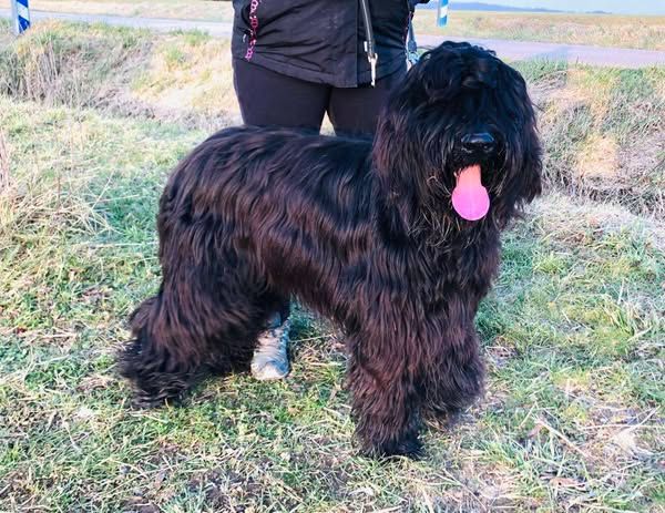 Publication : du Jardin aux Eglantines Auteur : NATALIE FEIDT WEYLAND