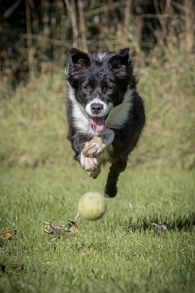 Publication : Alba'Eyes Auteur : moi