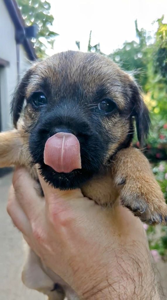 Publication : d'Hixa's Stories 