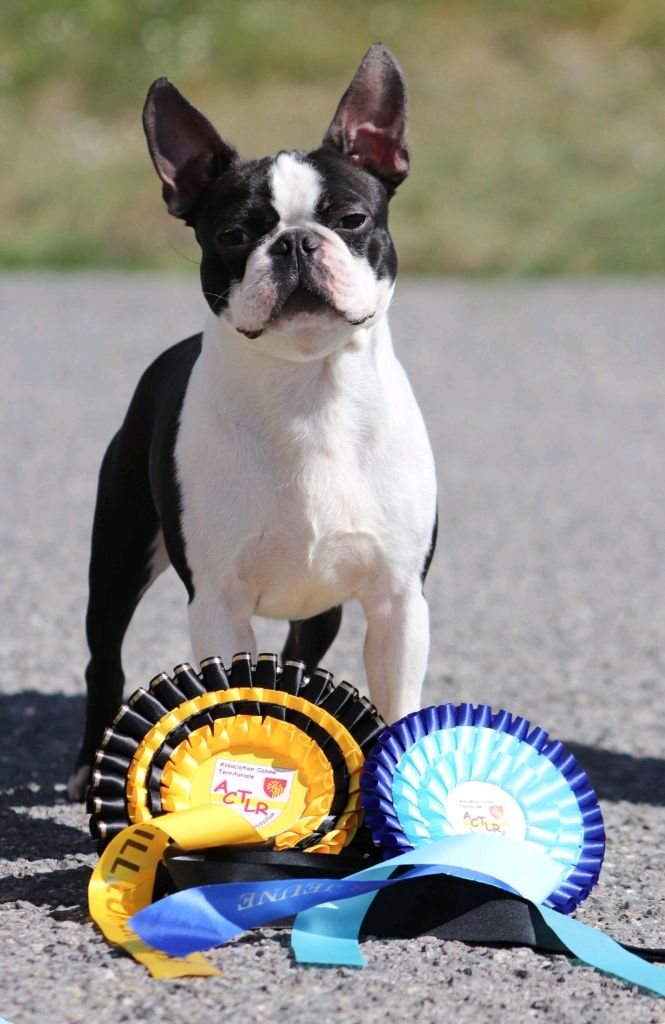 Publication : Eminence and Class 