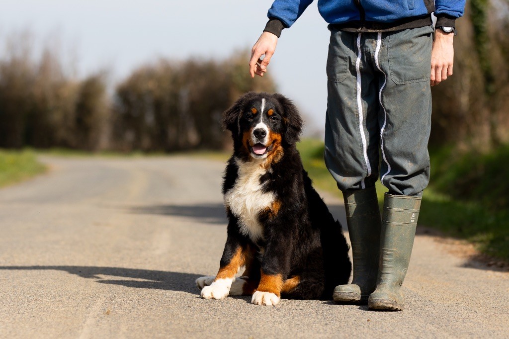 Publication : de la Vallée de l'Hyrome