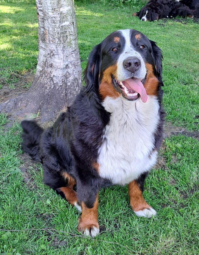 Publication : Du Domaine De Bakadit 