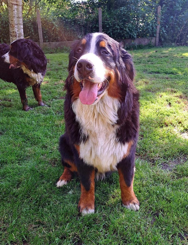 Publication : Du Domaine De Bakadit 