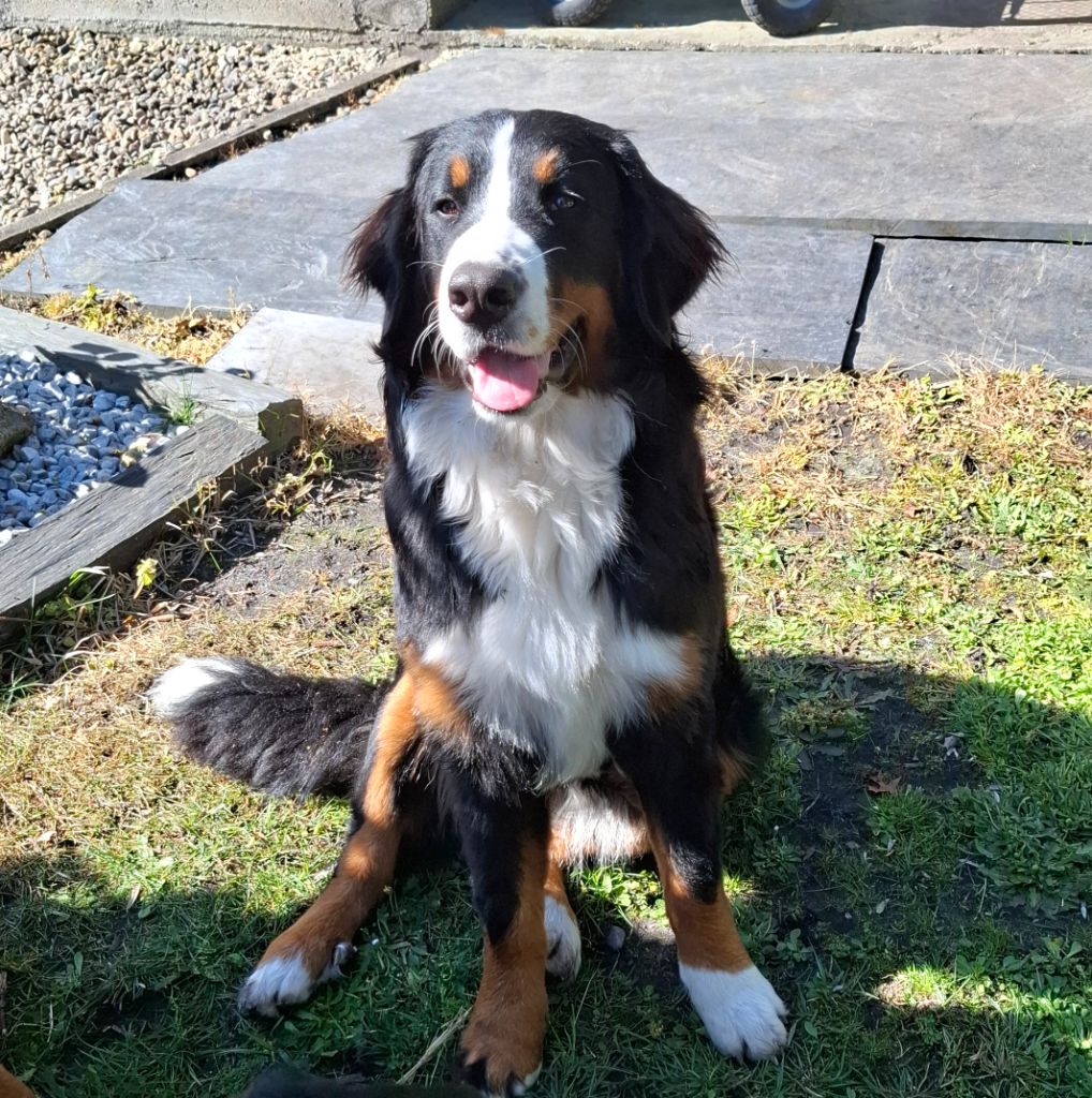 Publication : Le Jardin D'Ella 