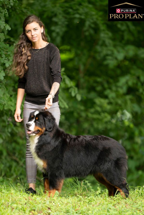 Publication : D'Ainhoa Auteur : Bonnenfant Yann