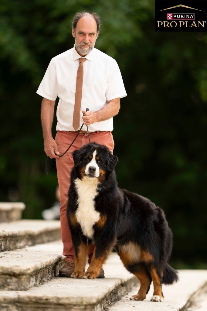 Publication : De la Ferme de la Pessoutie Auteur : Gérald Soligny En expo avec Prop