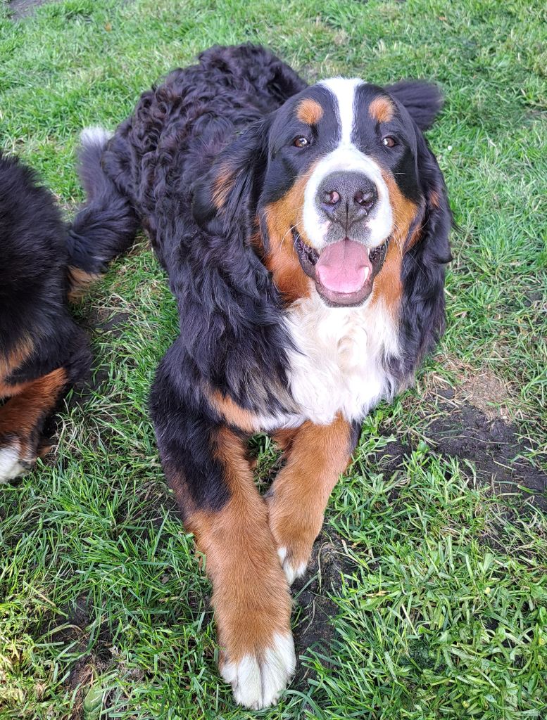 Publication : Du Domaine De Bakadit 