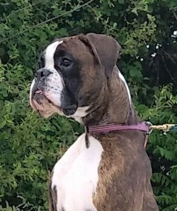 Publication : du domaine des trois vallées 