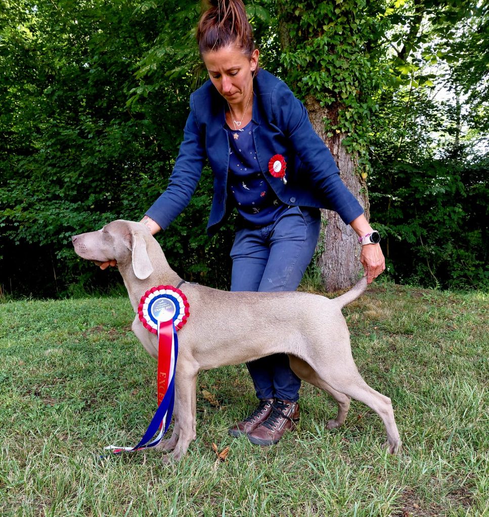 Publication : Du Cercle De Léma Auteur : Le cercle de LÃ©ma 