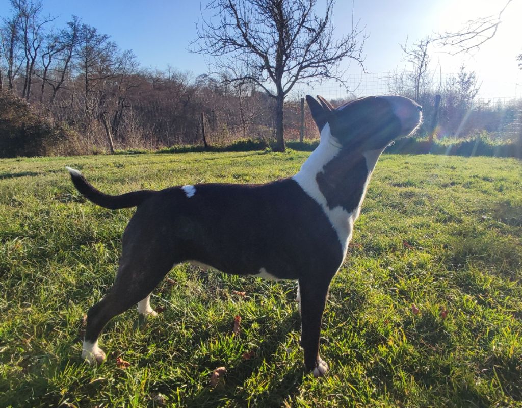 Publication : du Whoochymerry Camp 