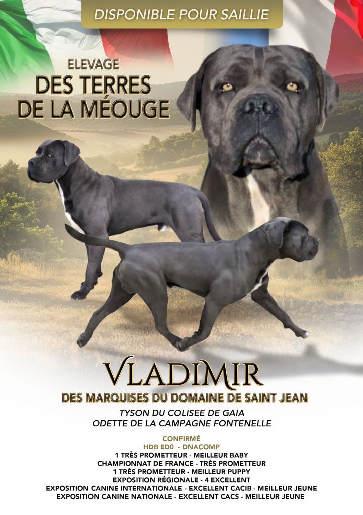 Publication : Des Terres De La Meouge Auteur : Emeline Krivoff