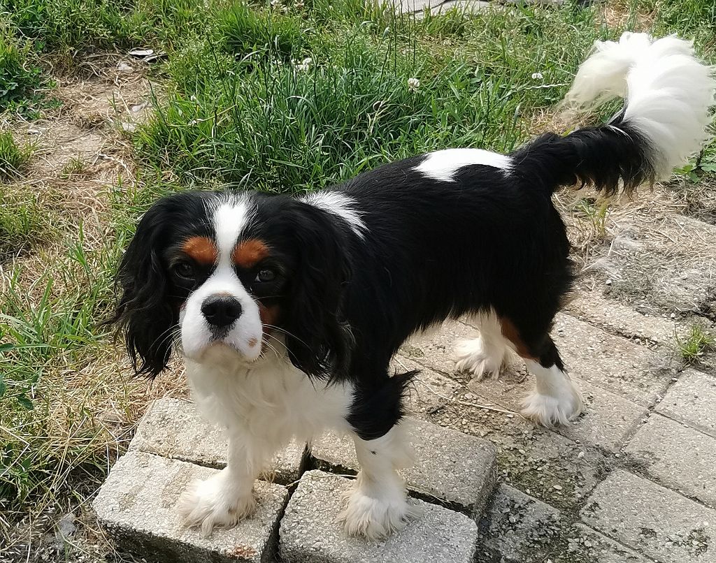 Publication : du Chemin Des Puits Tournants Auteur : duval corinne