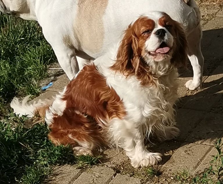 Publication : du Chemin Des Puits Tournants Auteur : duval corinne 