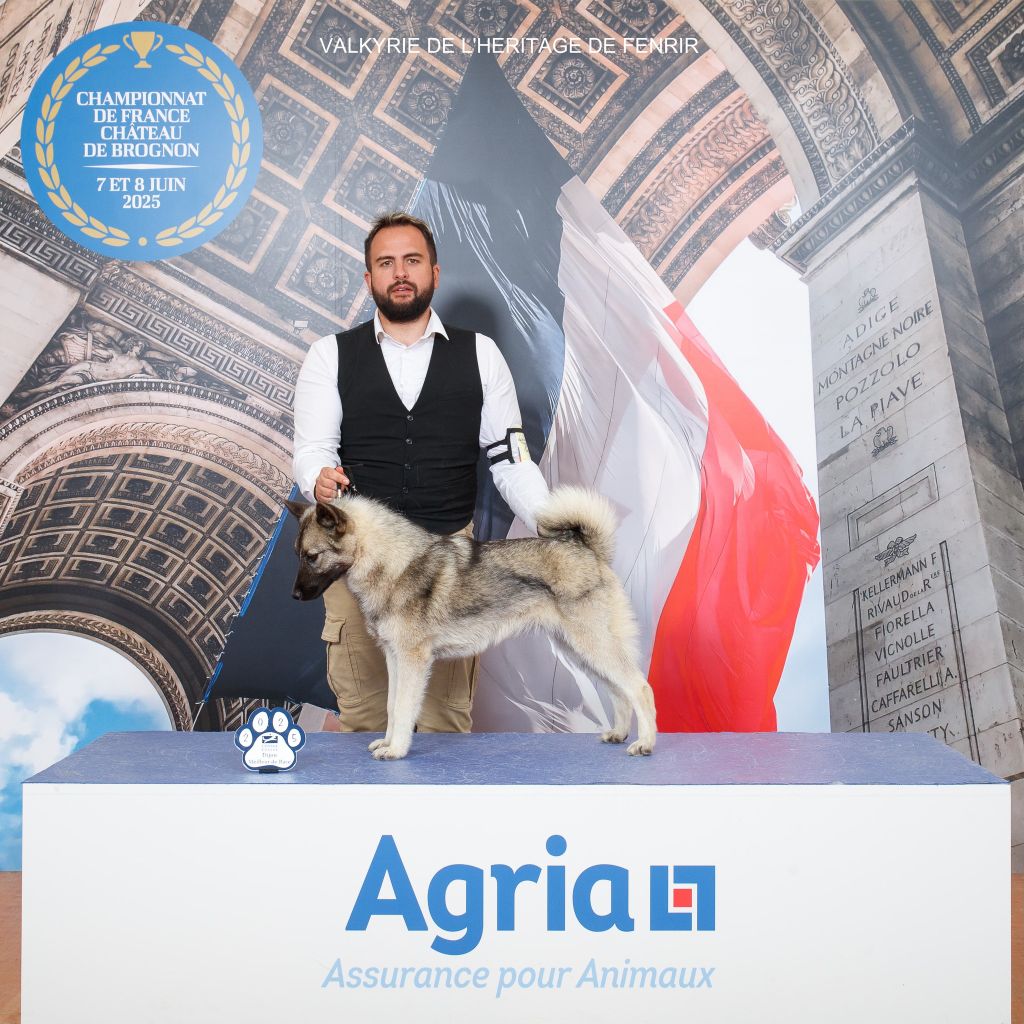 Publication : De L'Héritage De Fenrir 