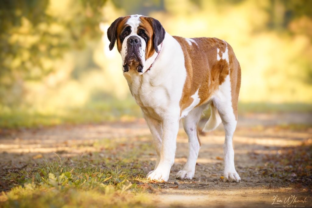 Publication : Du Domaine D'Arka 