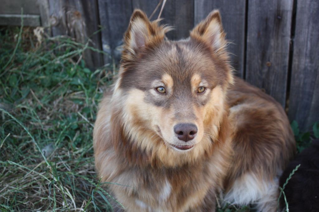 Publication : Opaali Hiekka Auteur : PRINCE Elinka