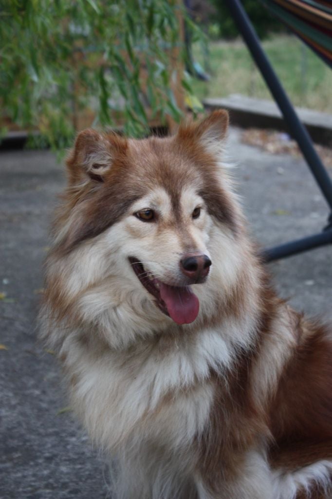 Publication : Opaali Hiekka Auteur : PRINCE Elinka