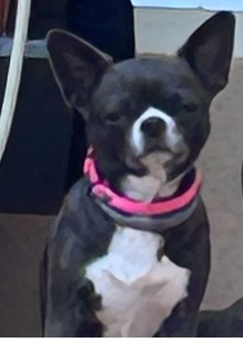 Summer valentina love