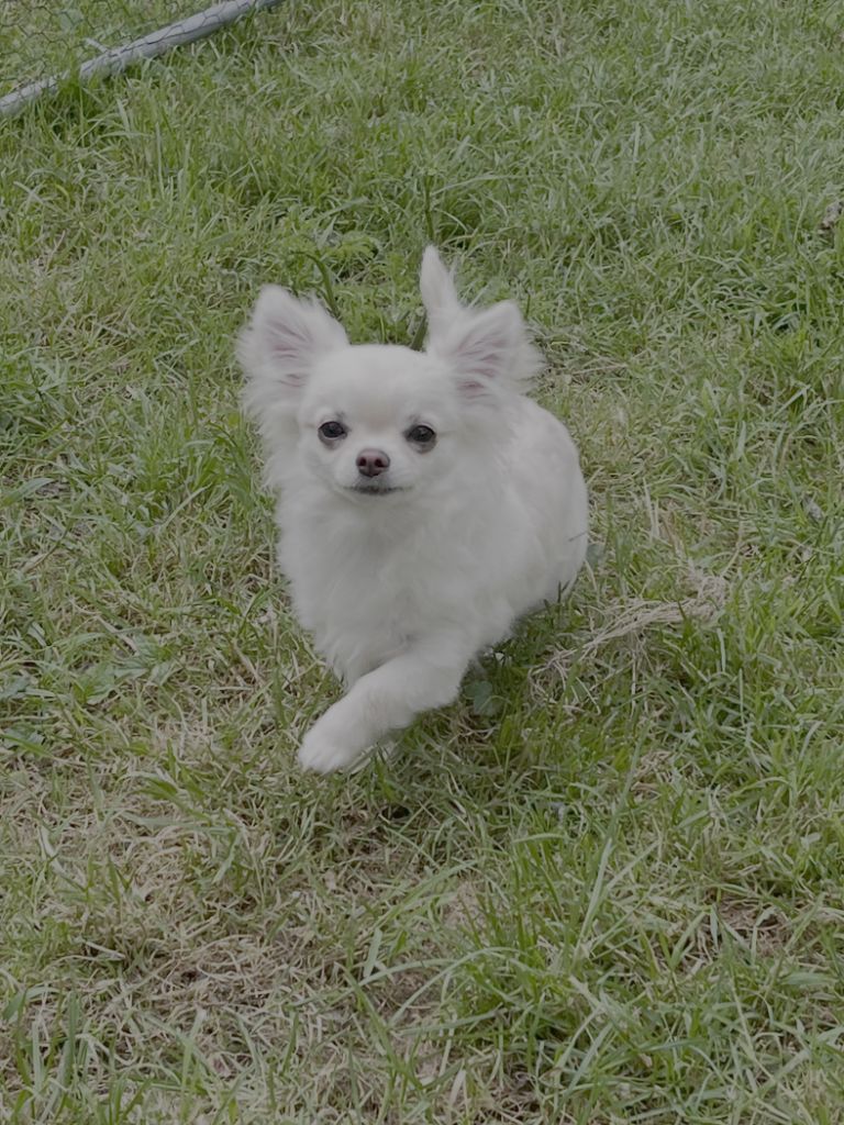 Publication : Du Domaine De Montbrieux 