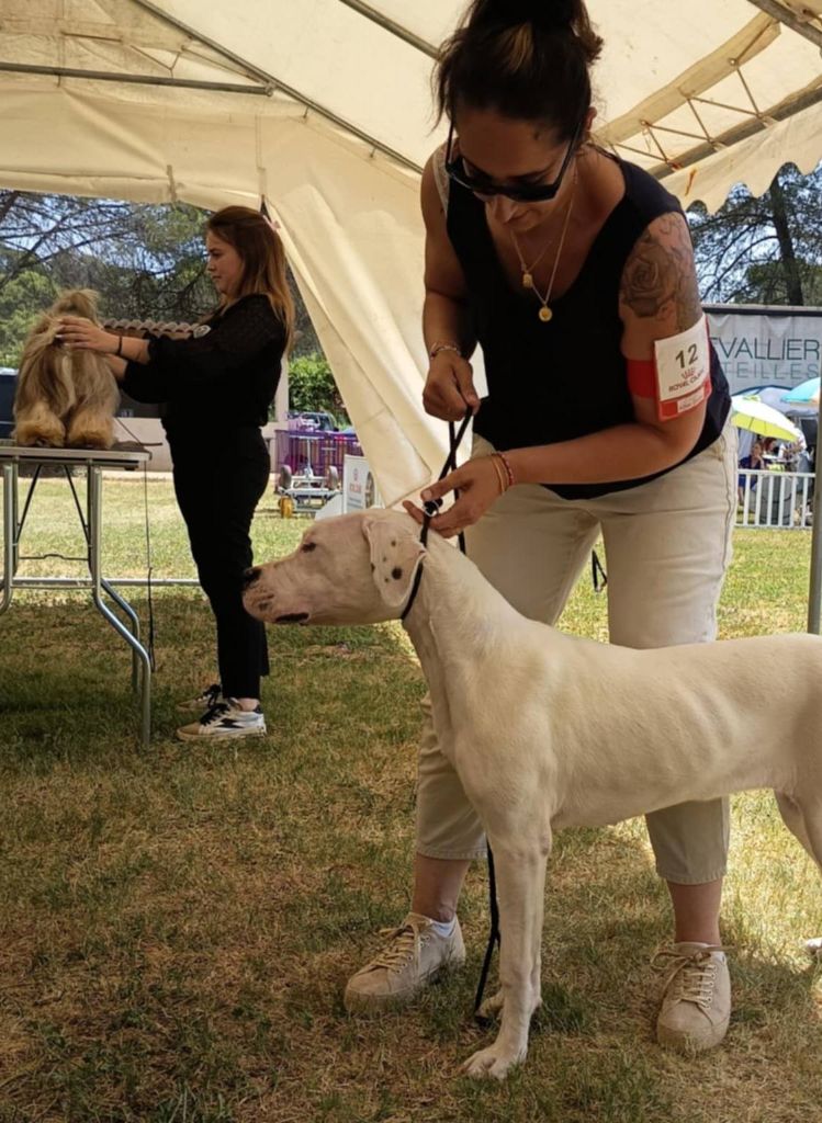 Publication : De Los Terrenos Del Castillo 