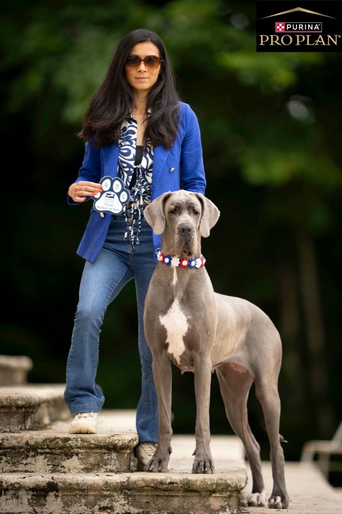 Publication : Des Terres De Romandor 