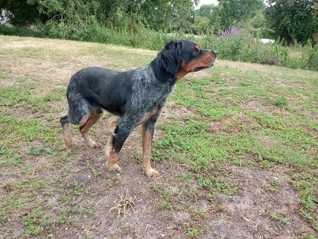 Publication : Des Coteaux De La Locherie 