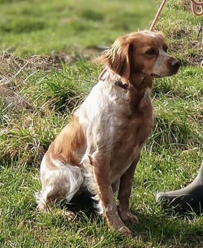 Rio Du Bois Des Echasses