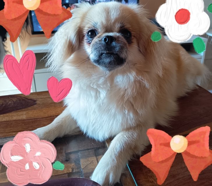 Publication : Du Paradis De L'Arche Auteur : Gilles BROUSSE